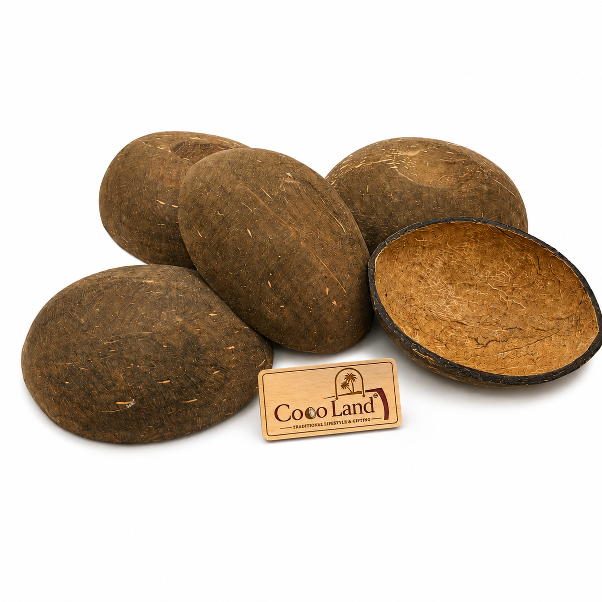 CocoLand Oval Coconut Shell NATURAL BOWL | Oval Eco Friendly Candle Holder for DIY Candle Making